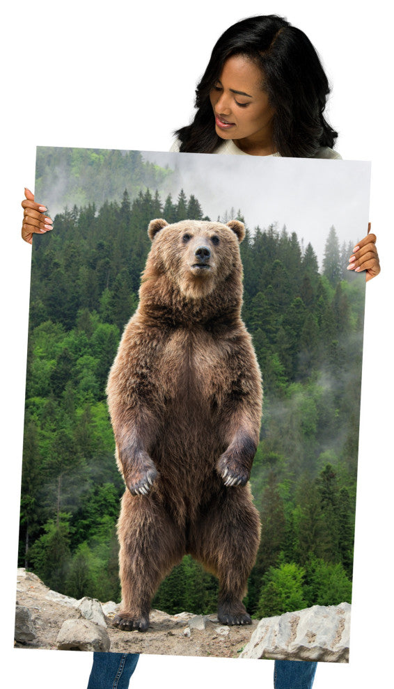 Big Standing Brown Bear On Mountain Top Loose Wall Art Print, 24" X 36"