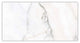 Calacatta Italia Matte 12x24 Porcelain Tile