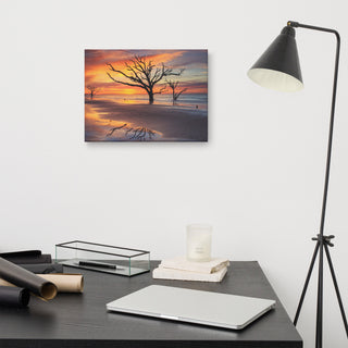 Sunrise & Trees At Edisto Island Coastal Landscape Photo Canvas Wall Art Print, 12" X 16"