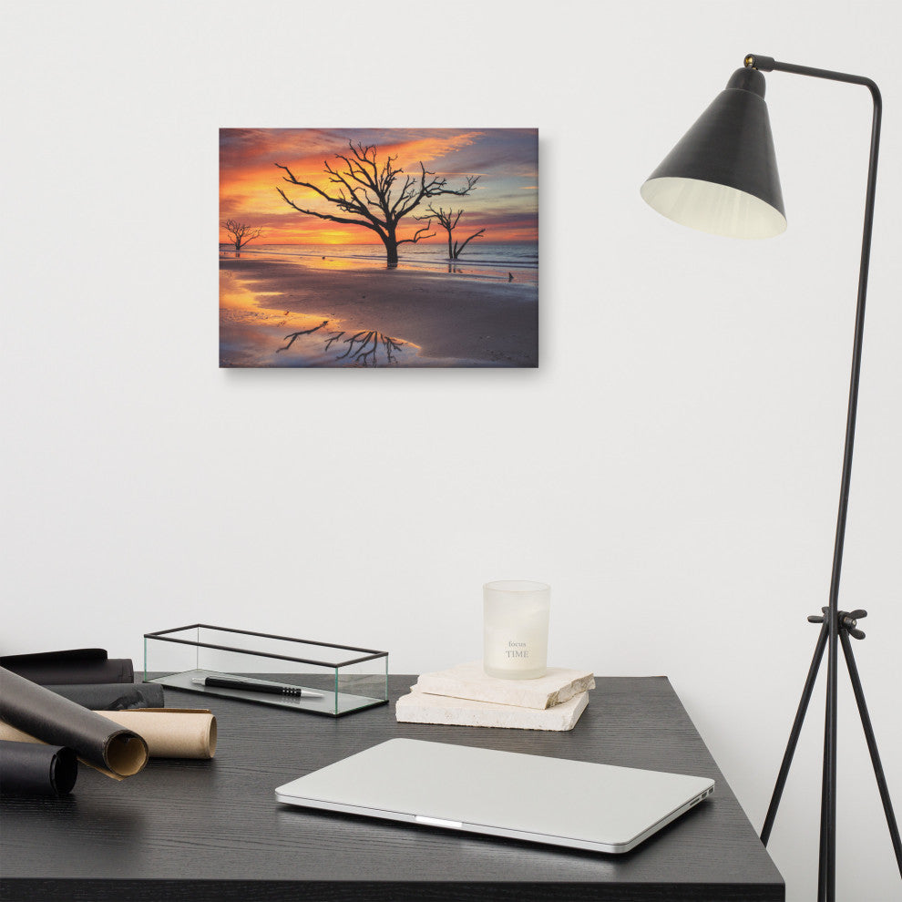 Sunrise & Trees At Edisto Island Coastal Landscape Photo Canvas Wall Art Print, 12" X 16"