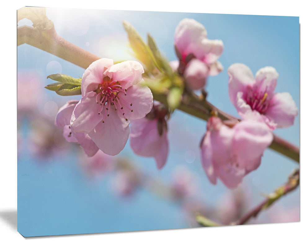 Stem of Peach Blossom Flowers, Floral Canvas Art Print, 40"x30"