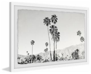 "Palm Tree Forest" Framed Painting Print, 18"x12"