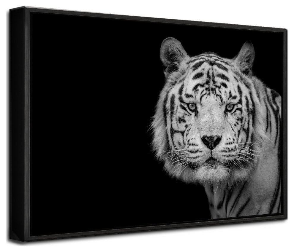 Bengal White Tiger' Framed Print Wall Art by Nauzet Baez