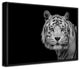Bengal White Tiger' Framed Print Wall Art by Nauzet Baez