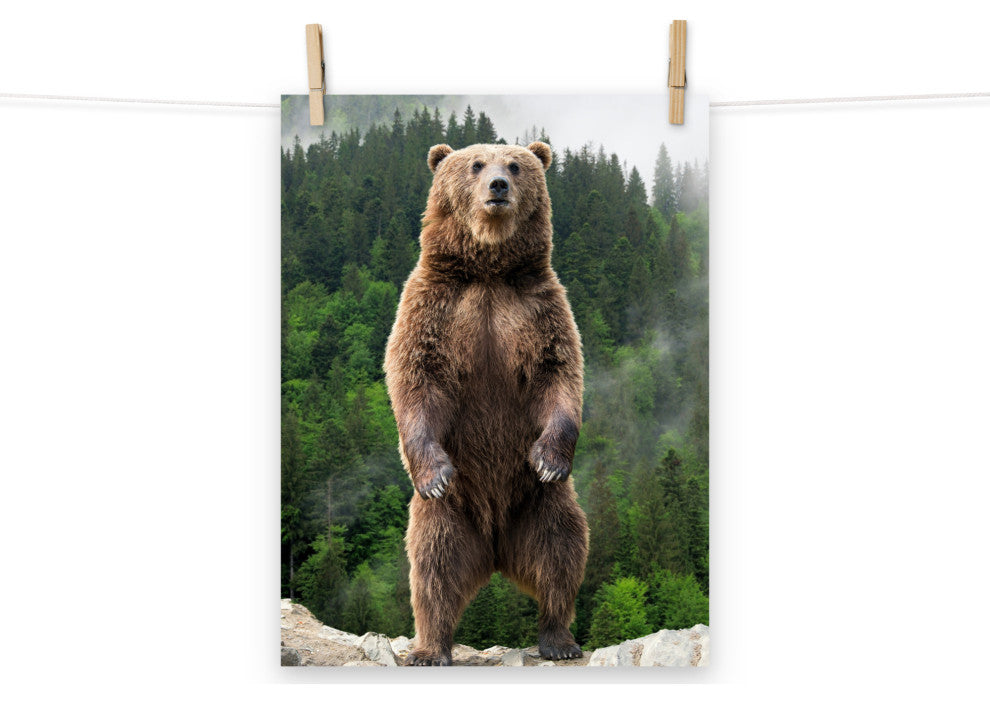 Big Standing Brown Bear On Mountain Top Loose Wall Art Print, 12" X 16"