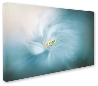 Jacky Parker 'Serene' Canvas Art, 32 x 22