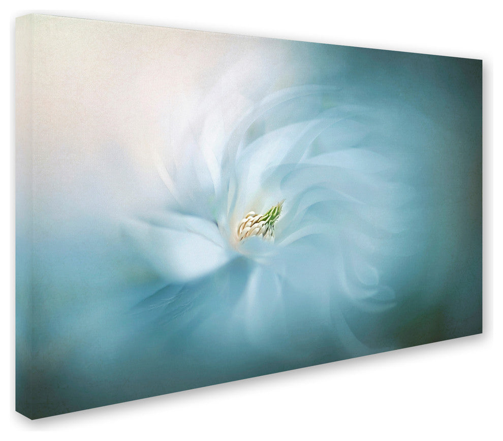 Jacky Parker 'Serene' Canvas Art, 32 x 22
