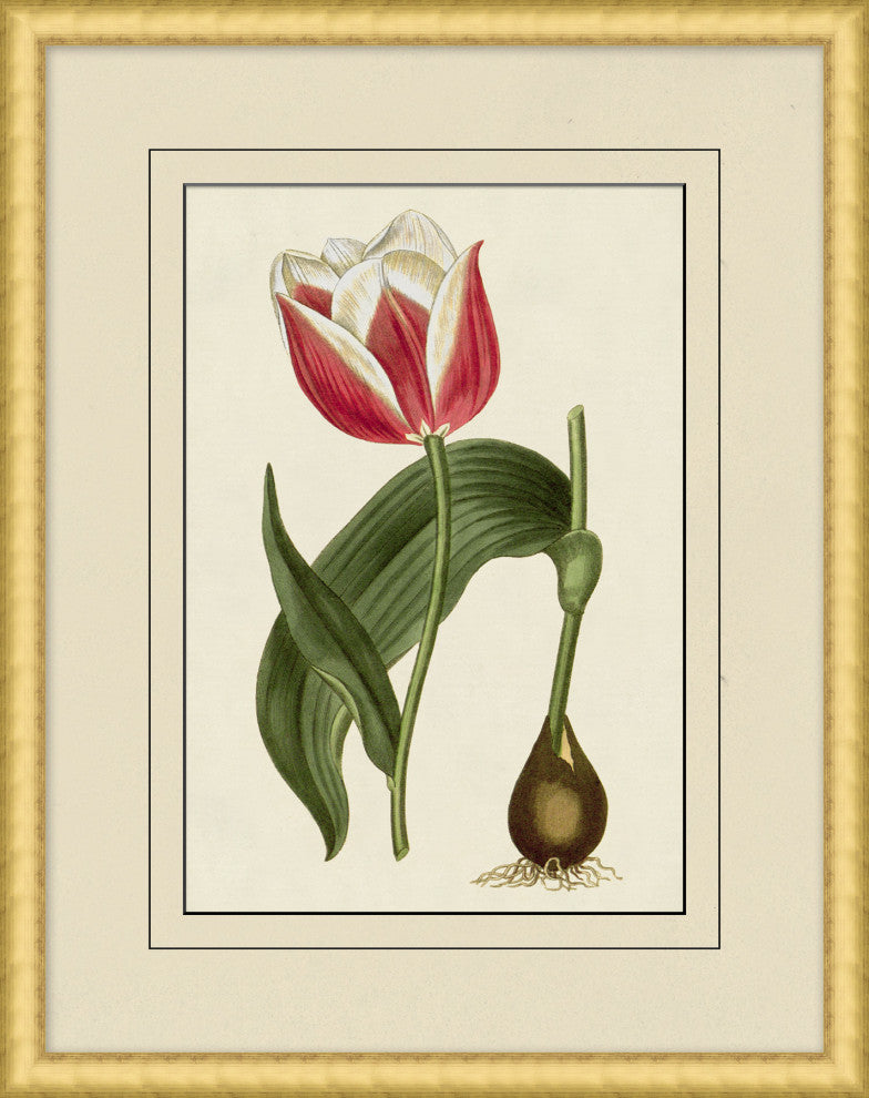 Fresh Flowers 2, Giclee Reproduction Artwork