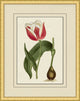Fresh Flowers 2, Giclee Reproduction Artwork