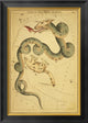 "Draco and Ursa Minor, 1825" Framed Canvas Giclee by Jehoshaphat Aspin, 20x28"