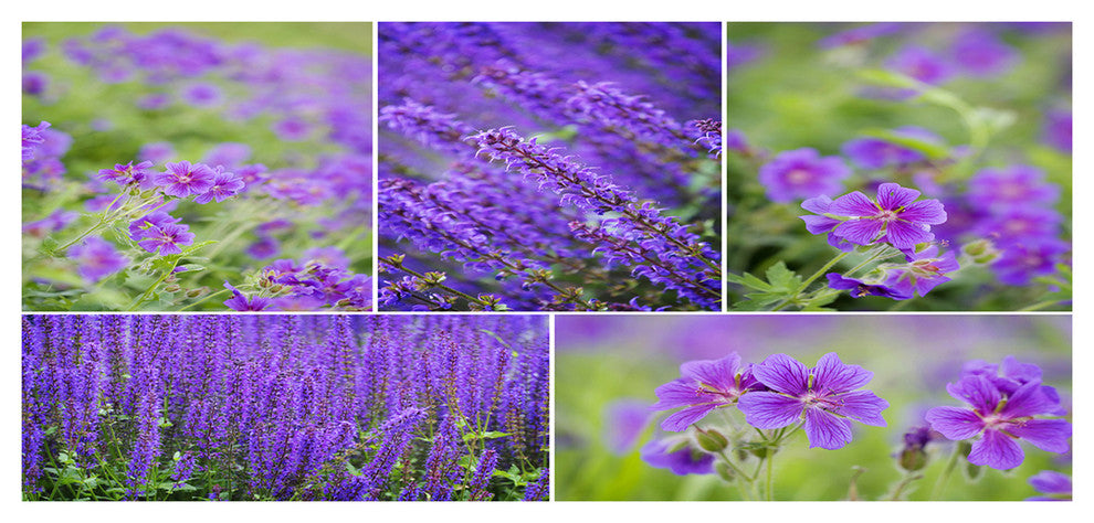 Blue Spring Flowers Collage, Large Floral Canvas Art Print, 60"x28"