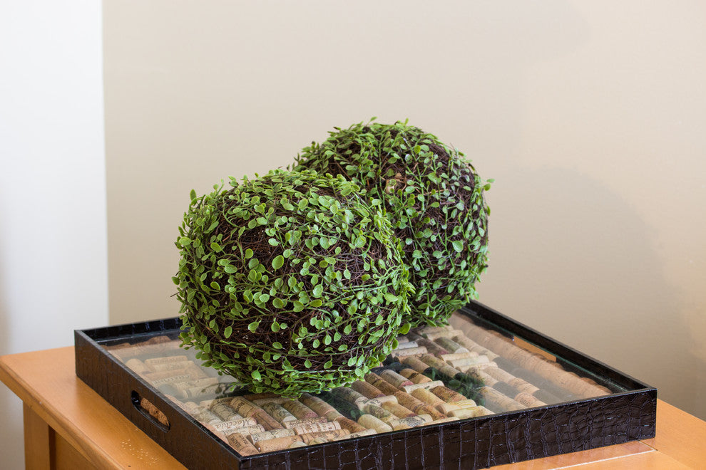 9" Mohlenbechia Ball, Set of 2