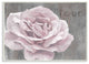 Stupell Industries Love Pink Flower Grey Neutral Painting, 13 x 19