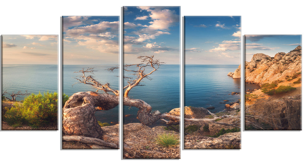 "Sunny Morning With Old Tree" Seashore Canvas Photo Print, 5 Panels, 60"x32"