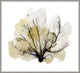From The Ocean 1, Giclee Reproduction Artwork