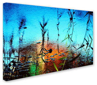 'Painted Nature' Canvas Art by Beata Czyzowska Young