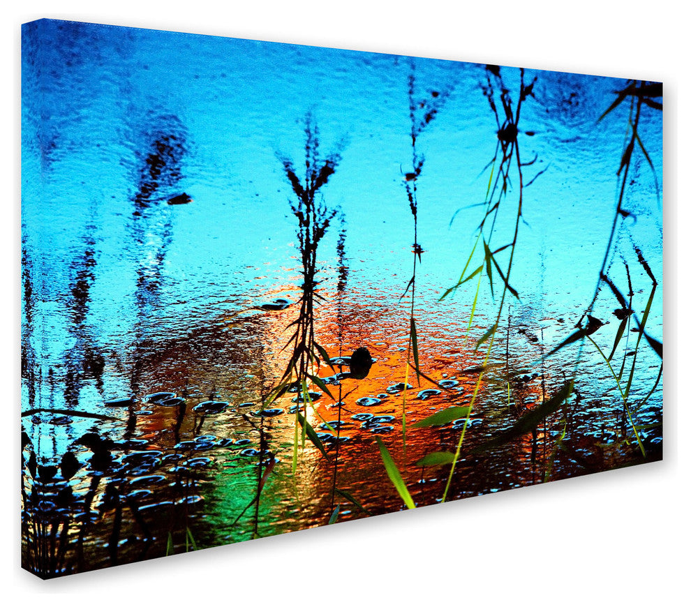 'Painted Nature' Canvas Art by Beata Czyzowska Young