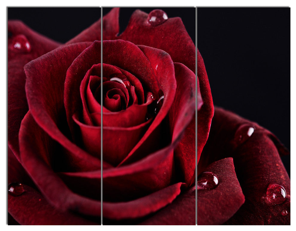 Red Rose with Raindrops on Black, Flowers Canvas Wall Artwork, 36x28, 3 Panels