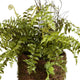 Luxe Boston Fern Faux Floral Artificial Plant Large 12in Drop In Leaves Designer