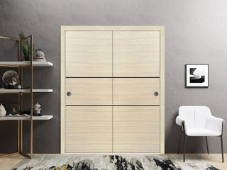 Bypass Doors 64 x 96 | Planum 0014 Natural Veneer with  | Sturdy Rails