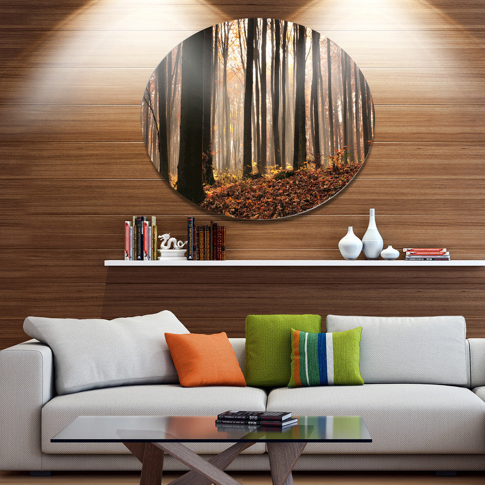 Dark Thick Woods In Fall Forest, Forest Disc Metal Wall Art, 23"