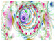 Multi Color Exotic Flower Whirlpool, Floral Canvas Art Print, 40"x30"
