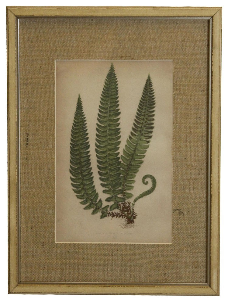 Fern Print With Burlap Mat