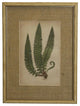 Fern Print With Burlap Mat