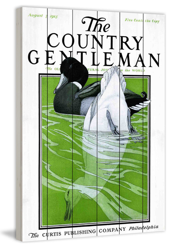 "CG Ducks" Painting Print on White Wood