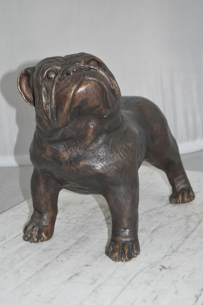 Bulldog Bronze Statue -  Size: 20"L x 9"W x 15"H.