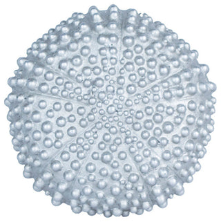 Urchin Drapery Holdback Medallion, Pewter, Set of 2