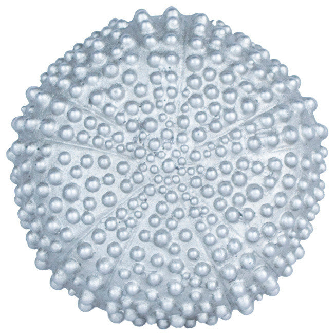 Urchin Drapery Holdback Medallion, Pewter, Set of 2