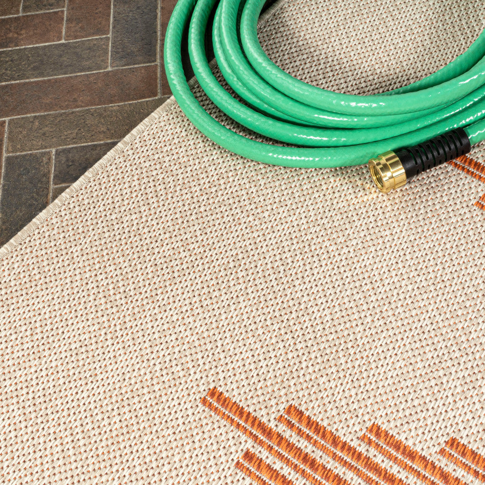 Vinales Diamond Stripe Indoor/Outdoor Area Rug, Beige/Orange, 3x5