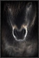 "Ulysses" Framed Canvas Giclee by P R I, 13x19"