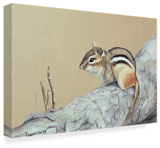 Rusty Frentner 'Chipmunk' Canvas Art, 47"x30"