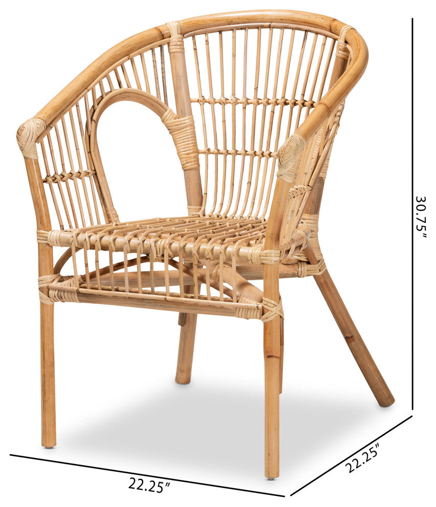 Alleta Modern Bohemian Natural Brown Rattan 2-Piece Dining Chair Set