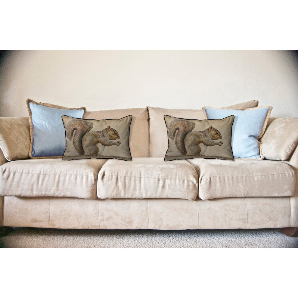 Squirrel Large Indoor/Outdoor Pillow 16x20