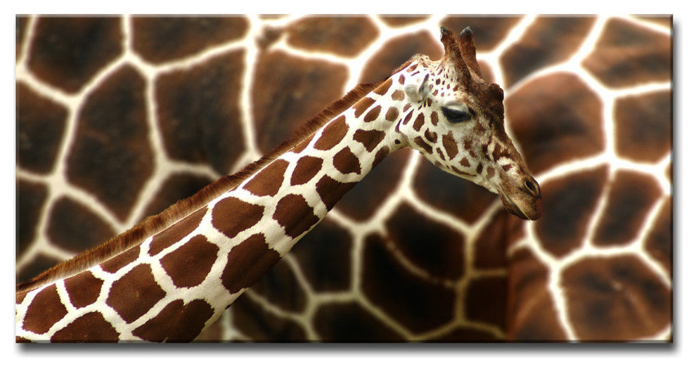 Ready2HangArt ''Giraffe'' Wrapped Canvas Wall Decor, 24"x12"
