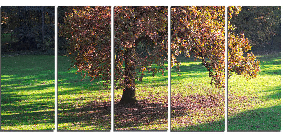 "Lonely Beautiful Autumn Tree" Wall Art, 60"x28", 5-Panels