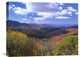 "Deciduous Forest, Blue Ridge Parkway, North Carolina" Artwork