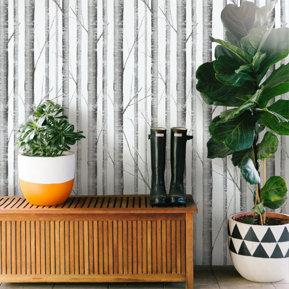 Birch Tree Peel and Stick Vinyl Wallpaper, Gray, 24" X 60"