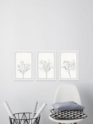 Plant Dreams Triptych, Set of 3, 20x30 Panels