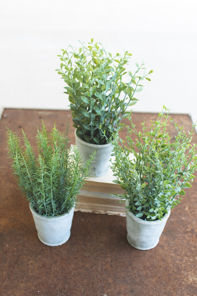Green Faux Floral Assorted Herb Plants 3-Piece Set