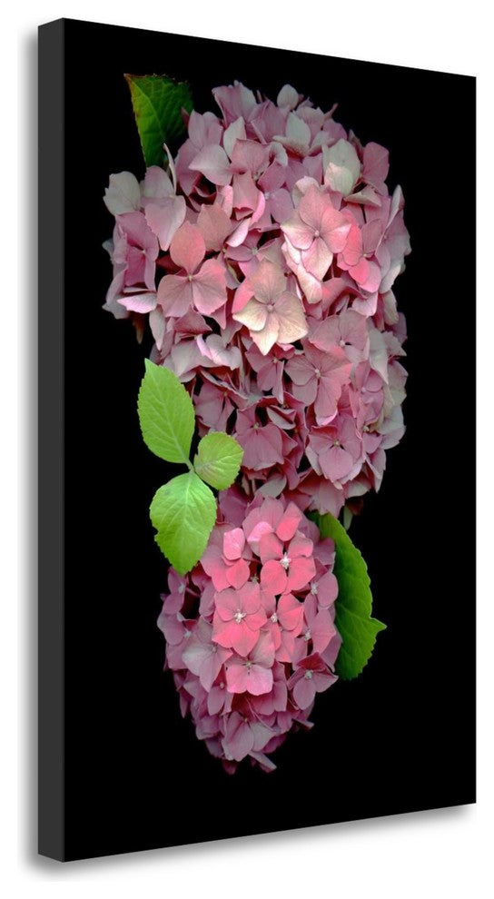 "Floral Color - 29" By Alan Blaustein, Giclee Print on Gallery Wrap Canvas