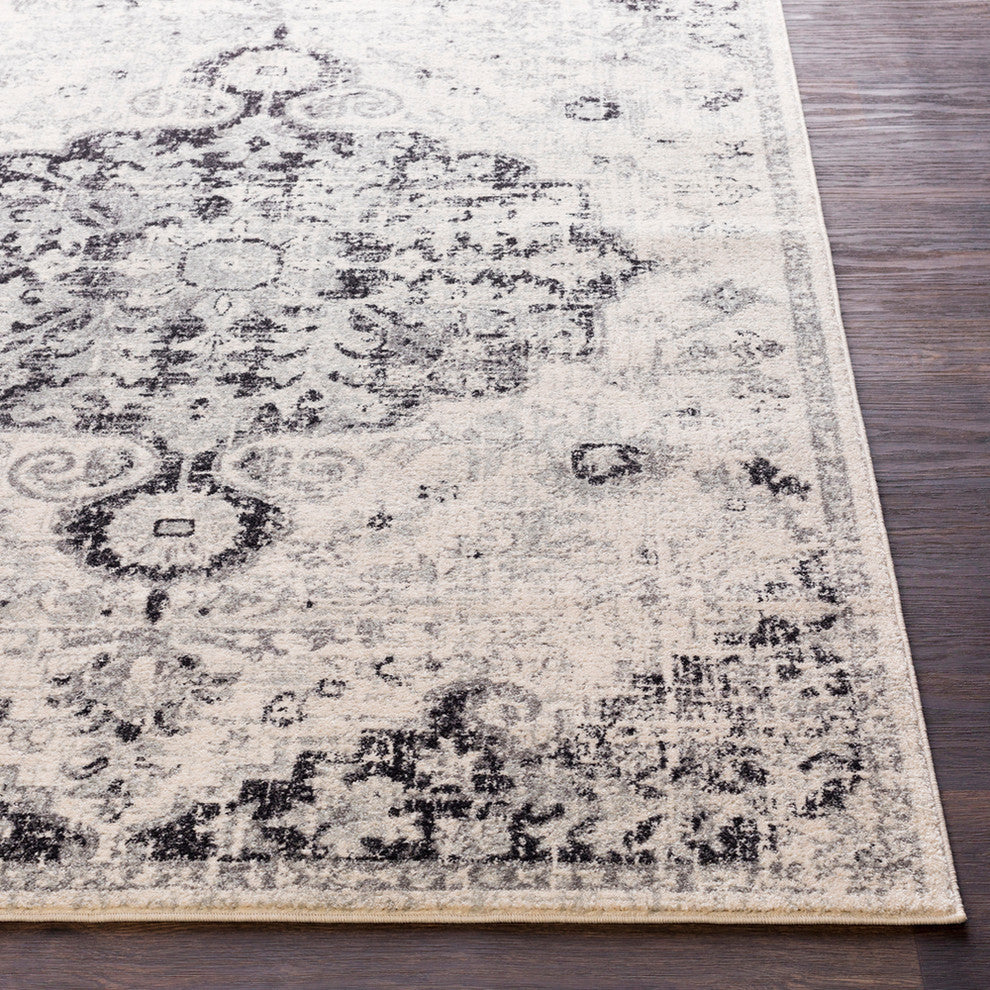 Harput Updated Traditional Beige, Light Gray Area Rug, 2'x3'