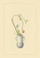 Pomegranate and Gentian - Fine Art Giclee Print 24" x 36"