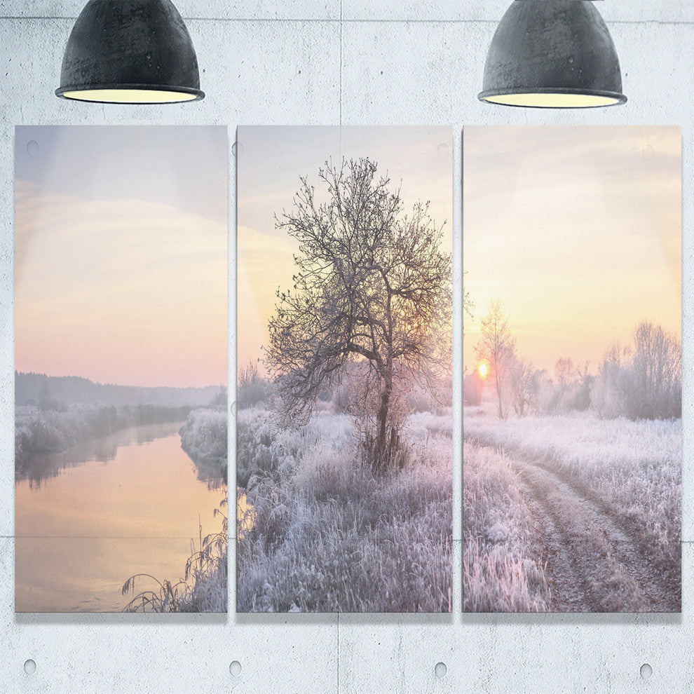 "Winter Sunrise Over Frosty Field" Metal Wall Art, 3 Panels, 36"x28"