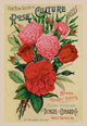 Our New Guide to Rose Culture, 1895 - Gallery Wrapped Canvas Art 28" x 42"