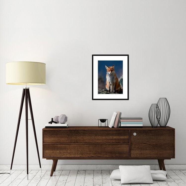 "Are You My Friend Or Not?" Framed Digital Print by Peter Svoboda, 24"x30"