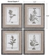 Uttermost Casual Grey Study Framed Art Set/4